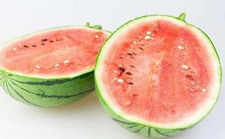 R718sx娱乐吃瓜,揭秘吃瓜群众的狂欢盛宴